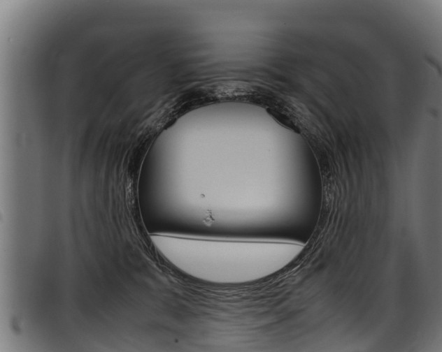 X0000098020327200803280759