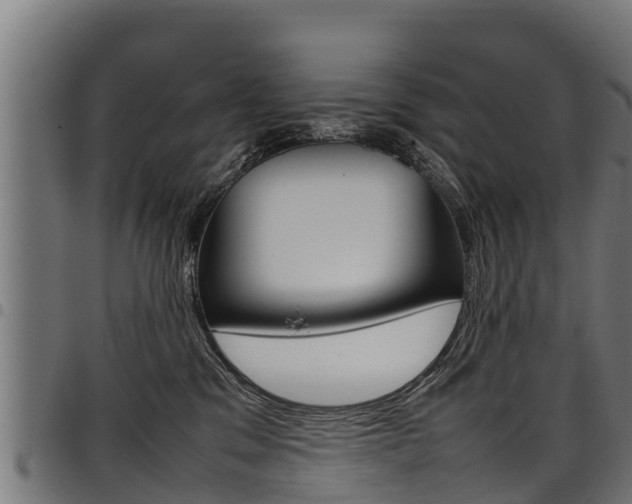X0000098020329200803280759
