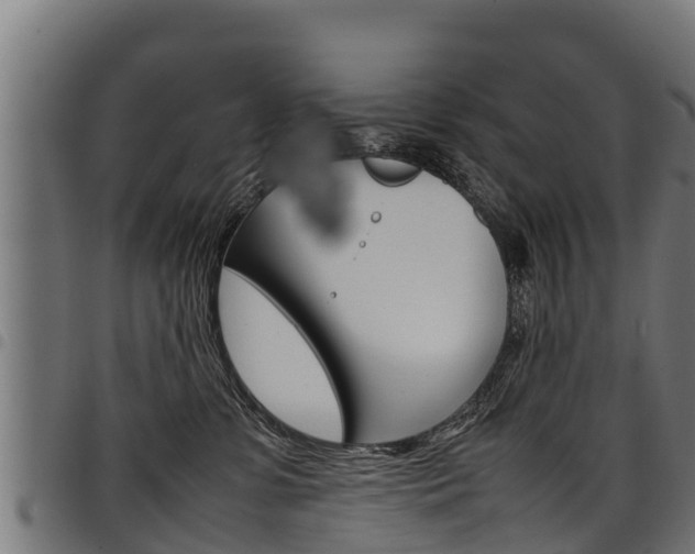 X0000098020331200803280759