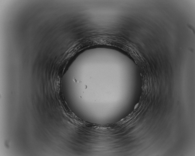X0000098020332200803280759