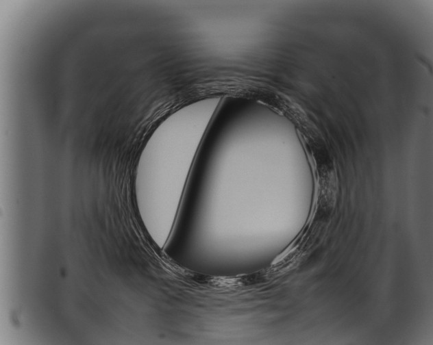 X0000098020333200803280759