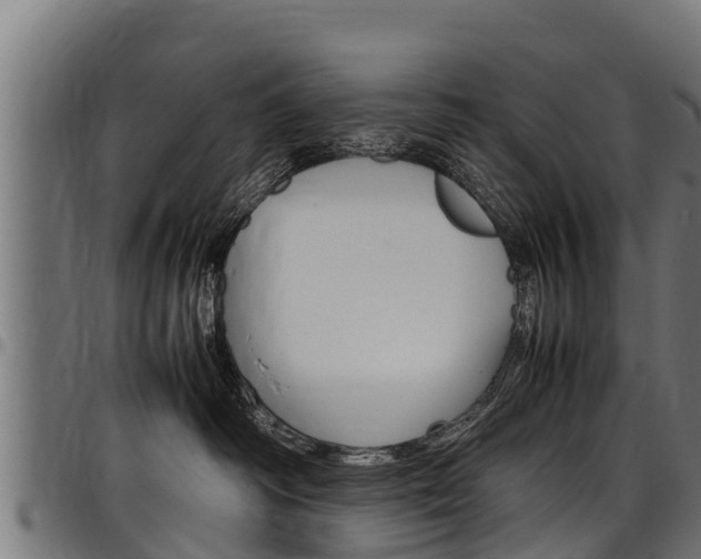 X0000098020334200803280759