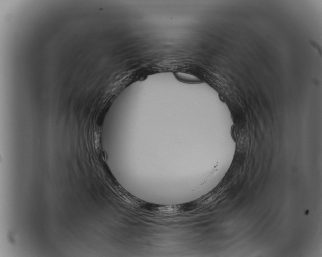 X0000098020335200803280759