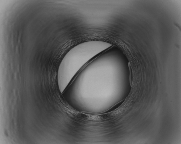 X0000098020336200803280759