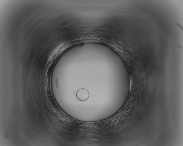 X0000098020339200803280758