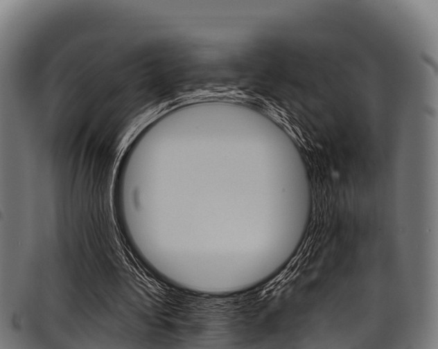 X0000098020340200803280758