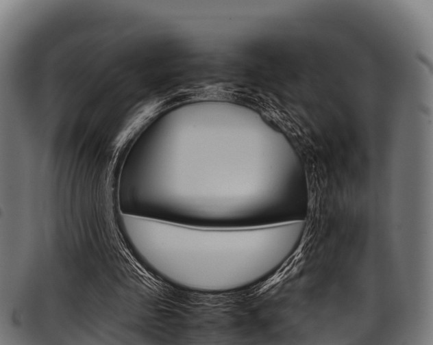 X0000098020341200803280758