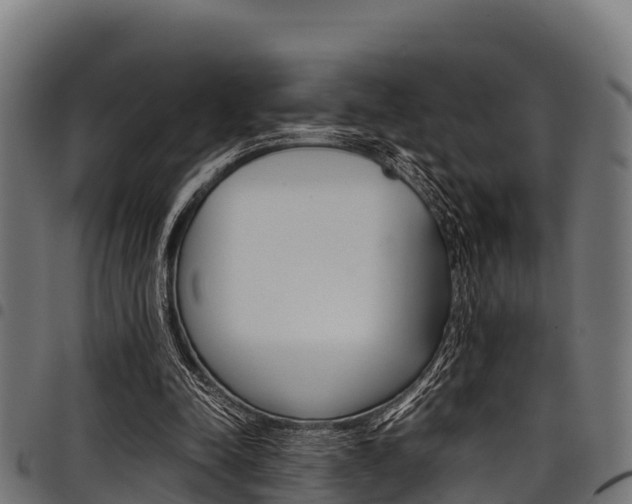 X0000098020342200803280758