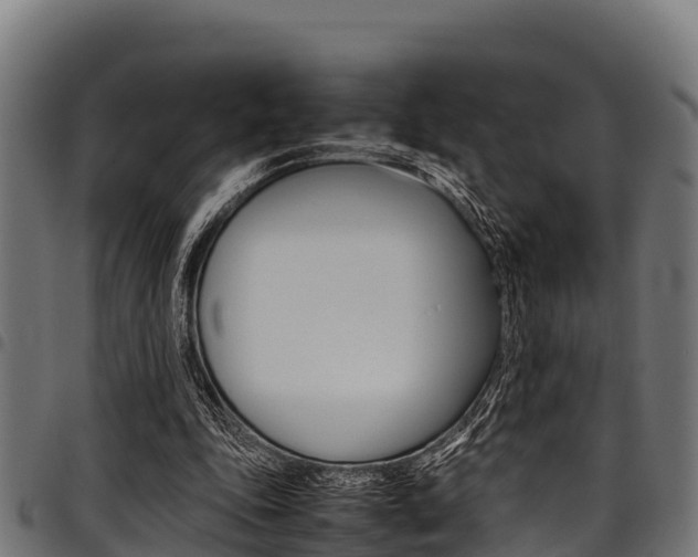 X0000098020343200803280758