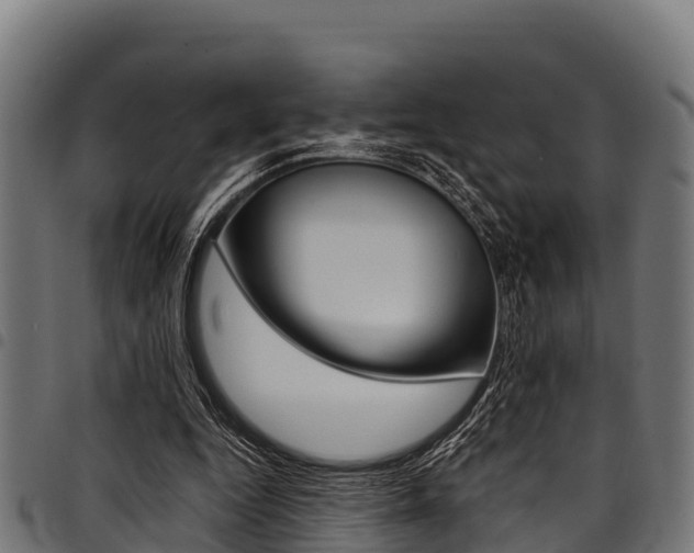 X0000098020344200803280758