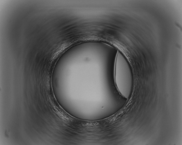 X0000098020345200803280758