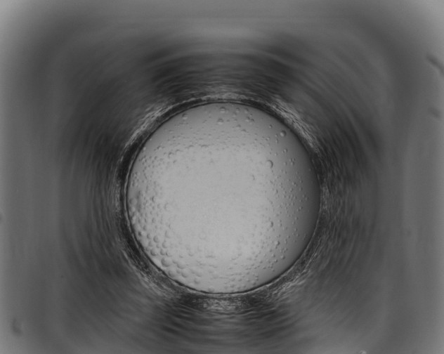 X0000098020347200803280758
