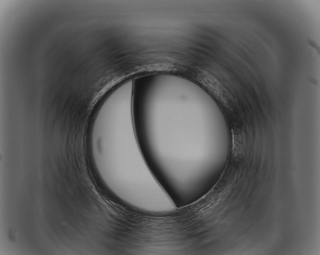 X0000098020348200803280758