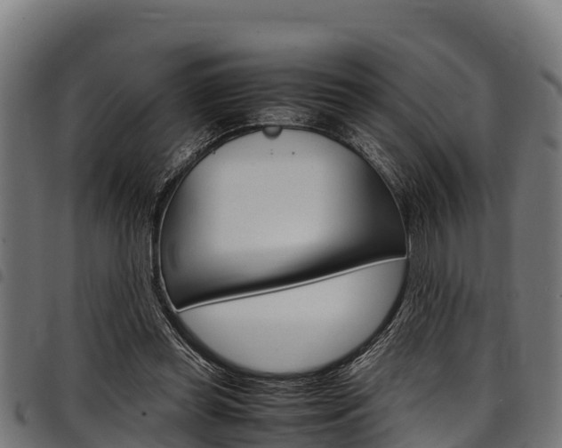 X0000098020349200803280758