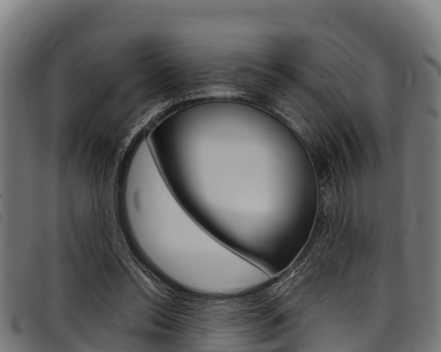 X0000098020350200803280758