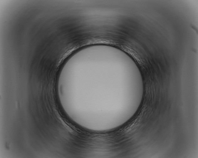 X0000098020352200803280758