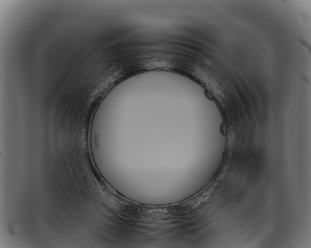 X0000098020353200803280758