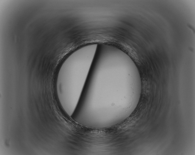 X0000098020354200803280758