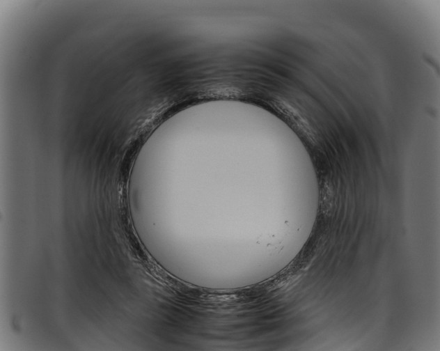 X0000098020355200803280758