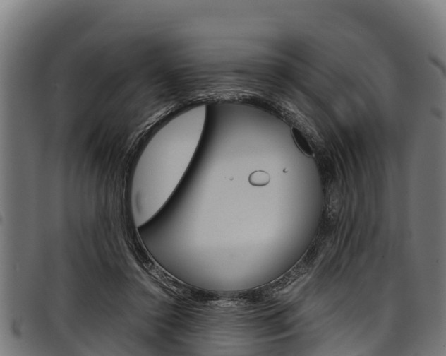 X0000098020356200803280758