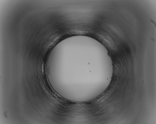 X0000098020358200803280758