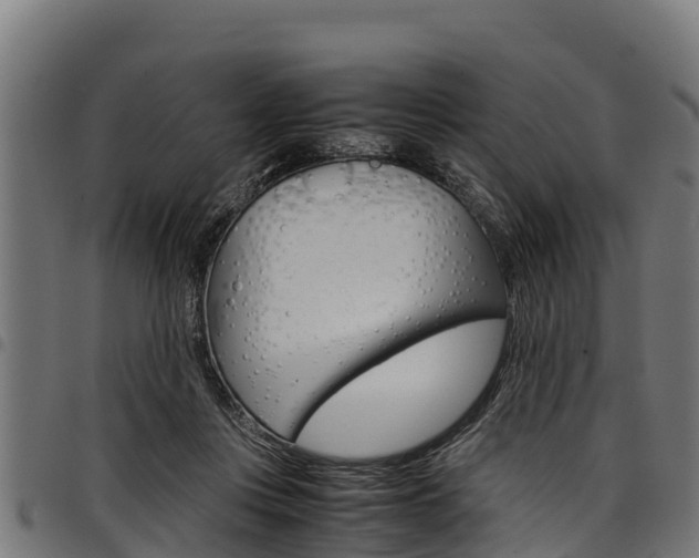 X0000098020359200803280758