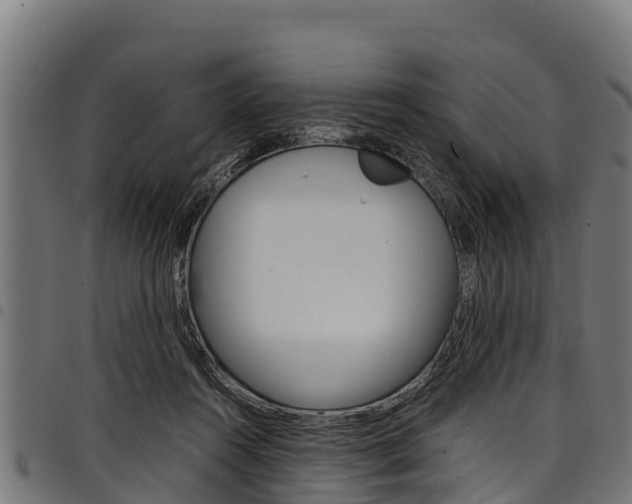 X0000098020360200803280758