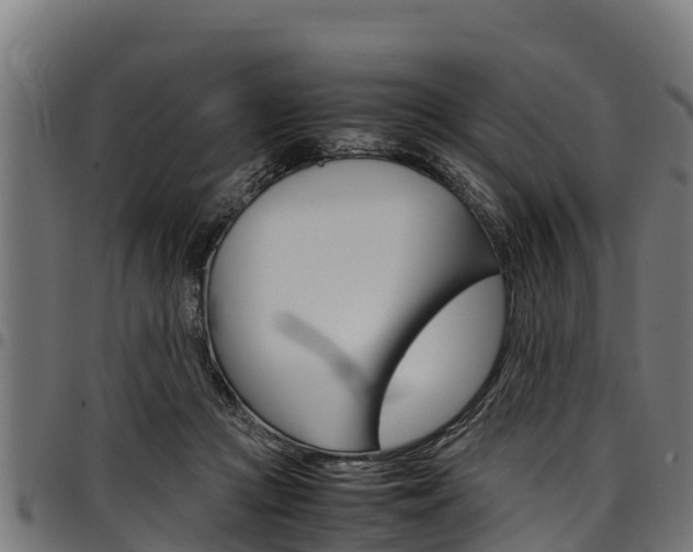 X0000098020361200803280758
