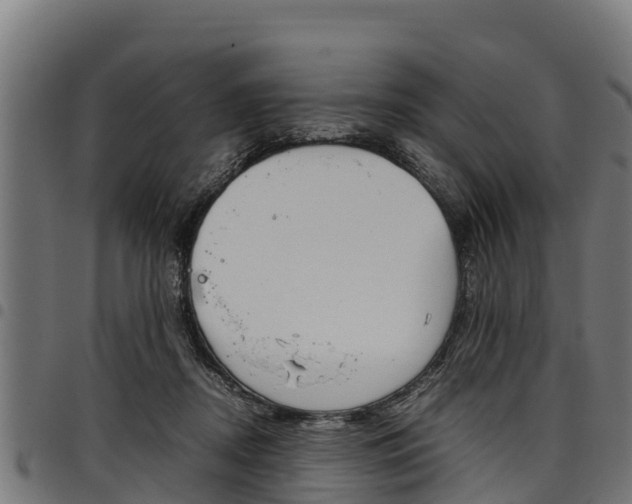 X0000098020362200803280758