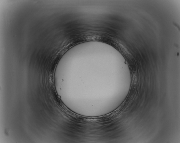 X0000098020363200803280758