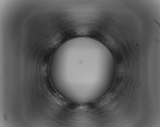 X0000098020364200803280758