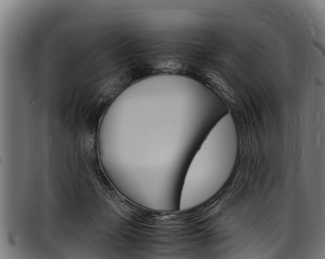 X0000098020365200803280758