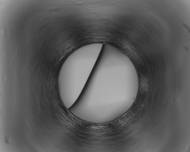 X0000098020367200803280758