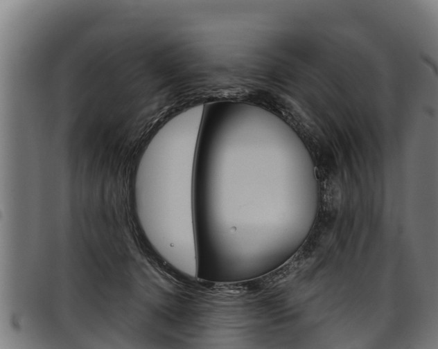 X0000098020368200803280758
