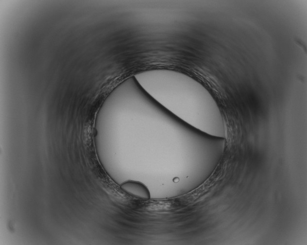X0000098020369200803280758