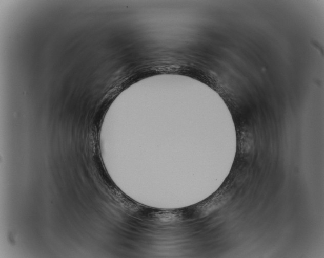 X0000098020370200803280758