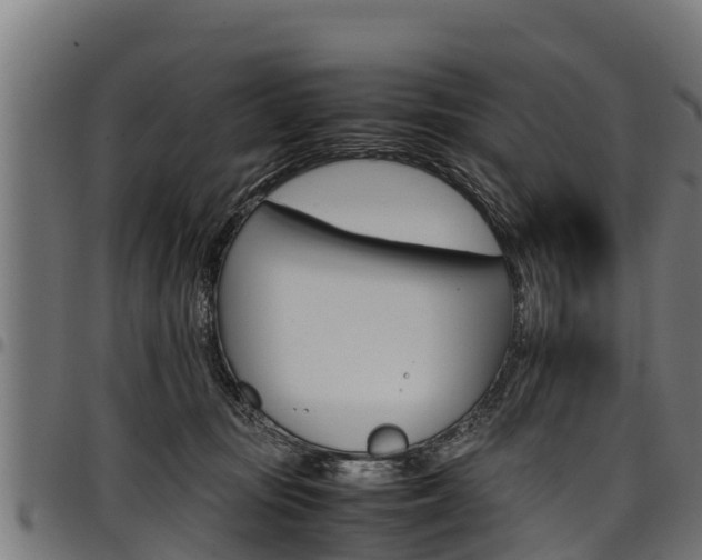 X0000098020371200803280758
