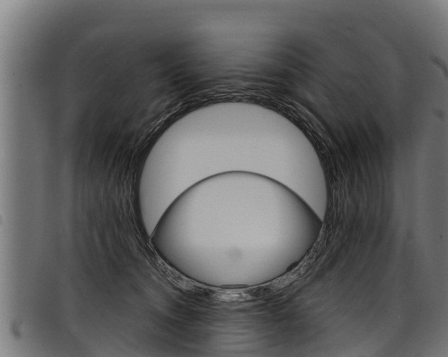 X0000098020372200803280758