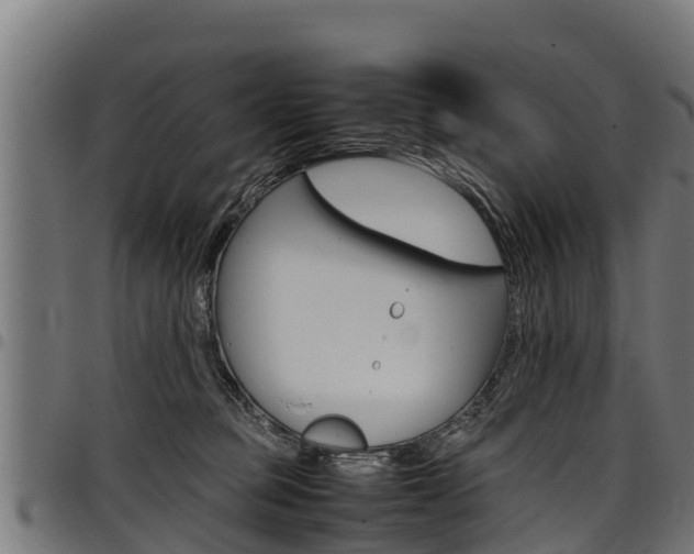 X0000098020373200803280758