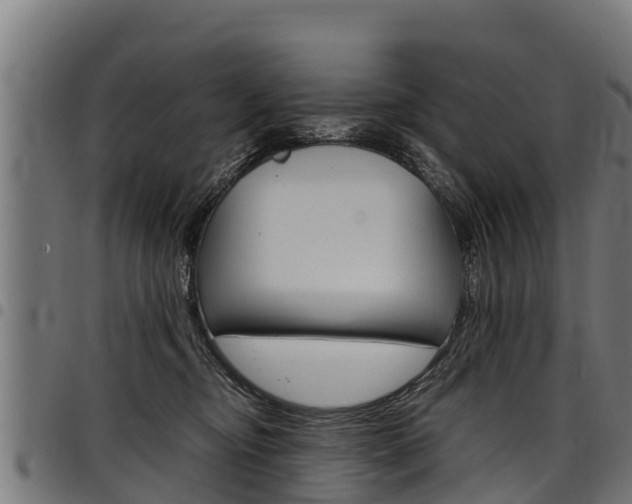 X0000098020374200803280758