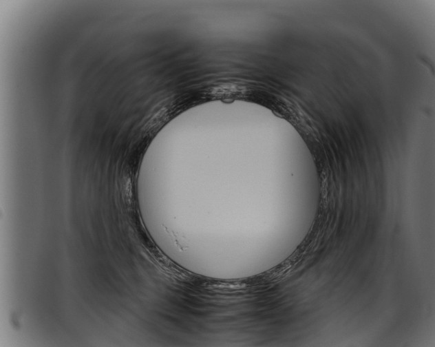 X0000098020375200803280758