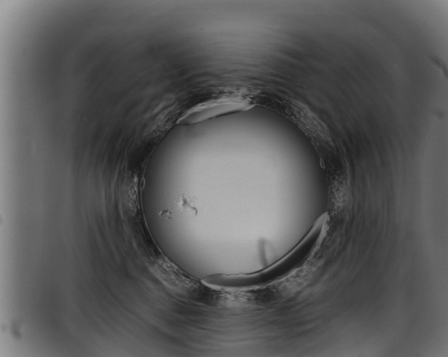 X0000098020376200803280758