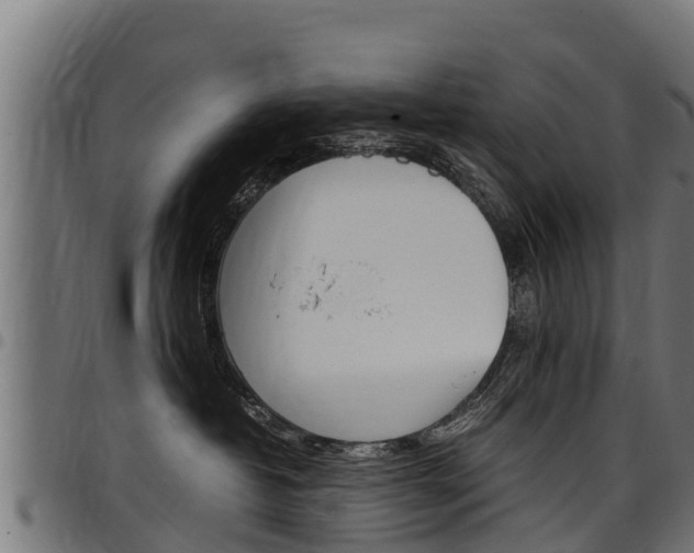 X0000098020382200803280758
