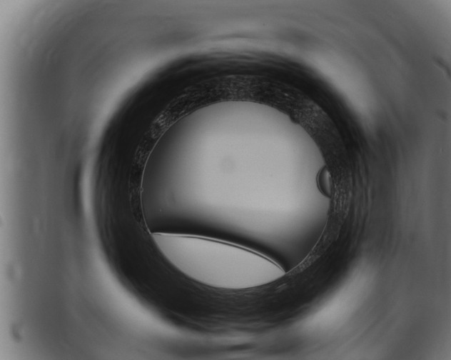 X0000098020383200803280758