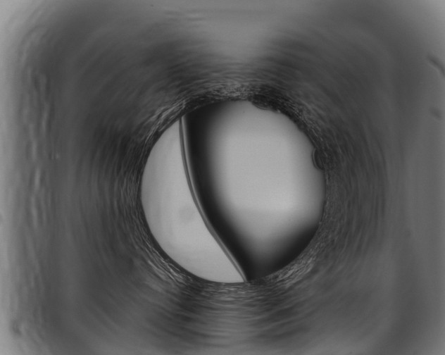 X0000098020384200803280758