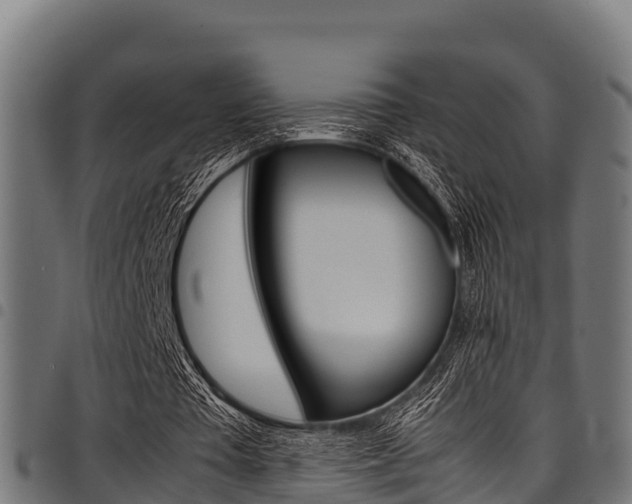 X0000098020385200803280758