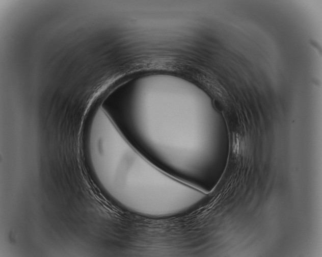 X0000098020388200803280758