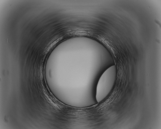 X0000098020390200803280758