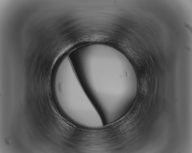 X0000098020392200803280758