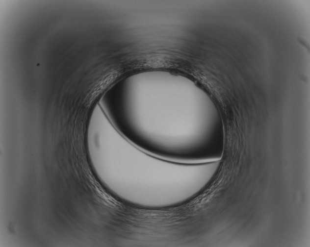 X0000098020393200803280758